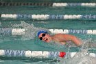 Swimming vs Babson  Wheaton College Swimming vs Babson College. - Photo By: KEITH NORDSTROM : Wheaton, Swimming, Babson